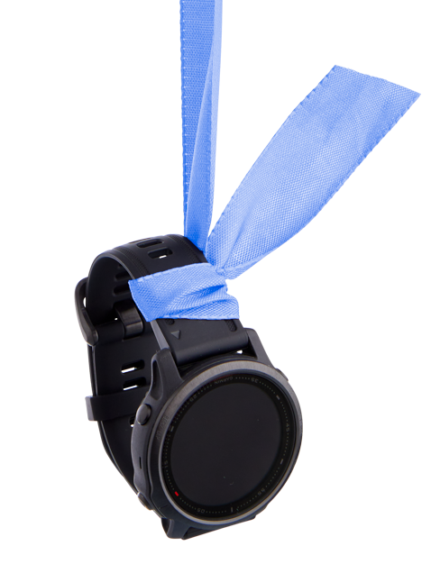 Fitnessuhr Garmin Fenix 6S pro