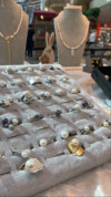 DVMU3586
