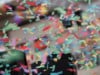 Kinderfasching2018 15_30_42_PWG_4597