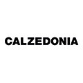 Calzedonia Logo