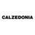 Calzedonia logo