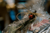 RestartChristmas - 2021 1218 - 00-27-36