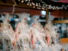 RestartChristmas - 2021 1218 - 00-39-46