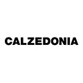Logo Calzedonia